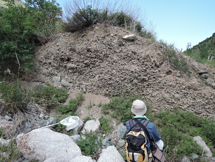 ��13�����㽸�Ĥ�ȯ�����줿����