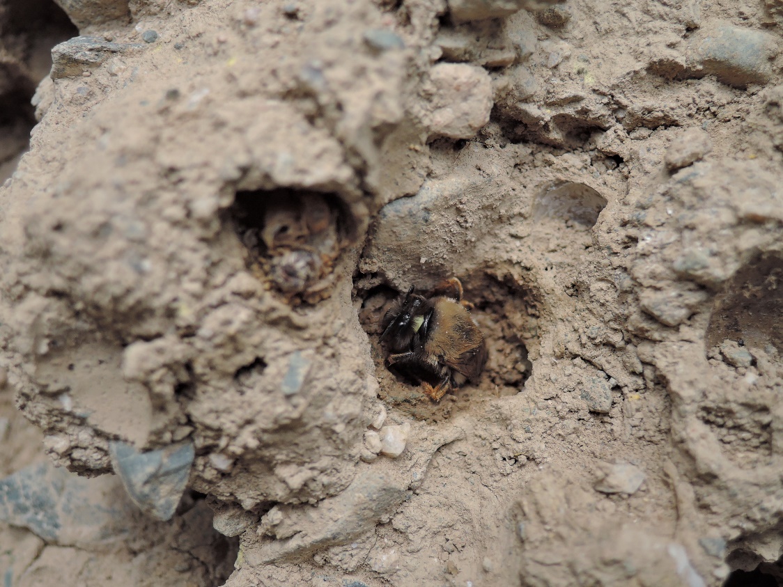 ��14����˼������Υ᥹