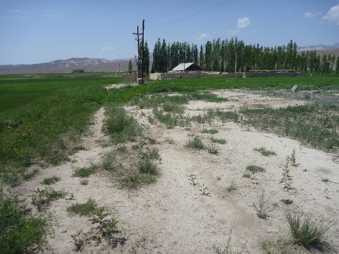 ��23�������Ϥ�����