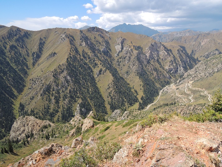 ��24�����󡦥���Фػ��ƽƻ