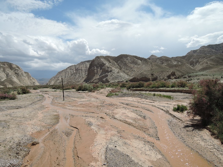 ��26���٥å��塦���饤��