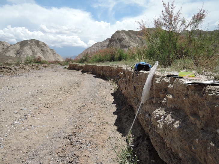 ��27����褤�α�����