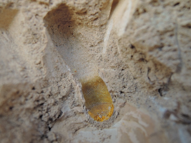 ��28���繣����ü���ΰ�˼