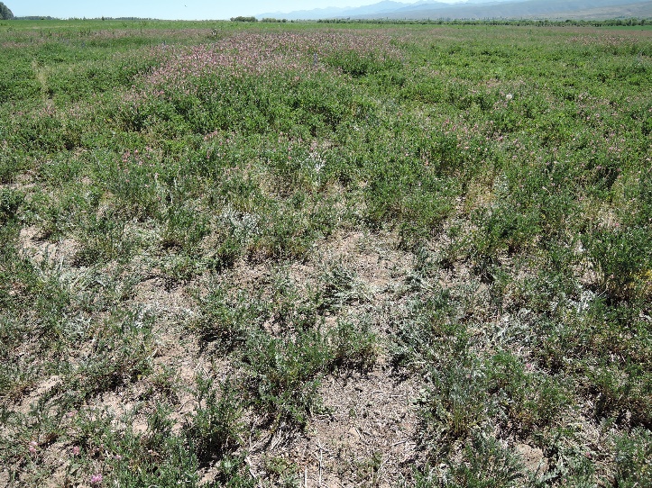 ��30�������ޥ��������