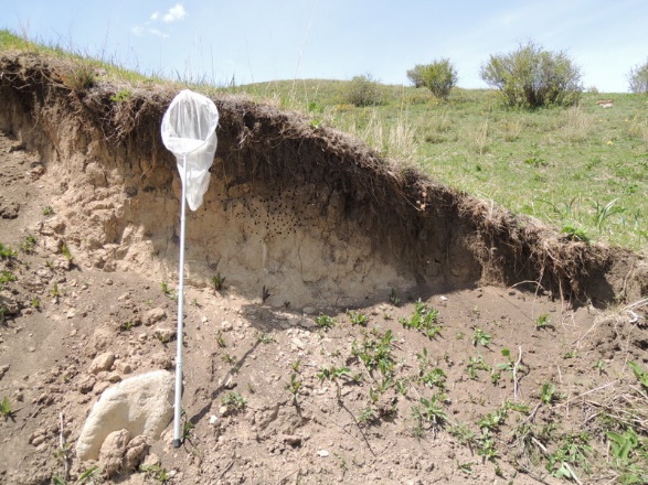 ��4�����㽸�Ĥ�ȯ�����줿����