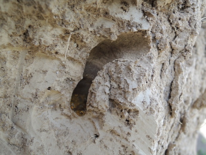 ��5��������̡��繣��ü���˰�˼�����롥