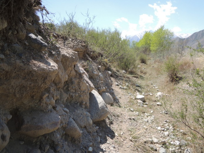 ��7���㤬ȯ�����줿����