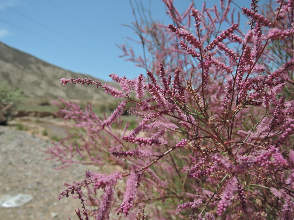 �}�P�@�M�������E